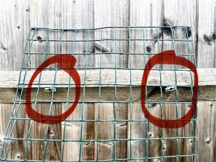 Photo of free Plastic Trellis with two clips 167x48cm (Nunnery Wood WR5) #2