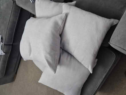 Photo of free 5 grey cushions (Ashington (NE63)) #1