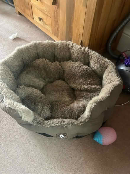 Photo of free Large dog bed (TW2) #1