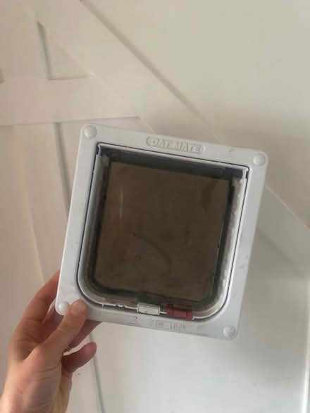Photo of free Cat flap (basic) (S17 Dore) #1