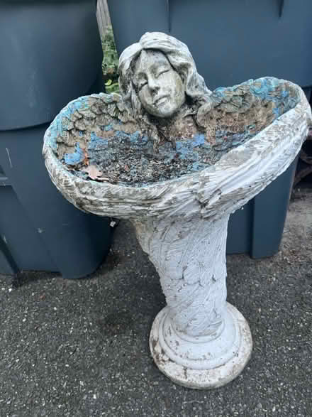 Photo of free Bird bath (North Waltham) #1