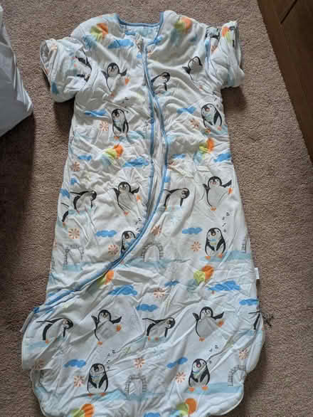 Photo of free Toddler sleeping bag (New Eltham) #1