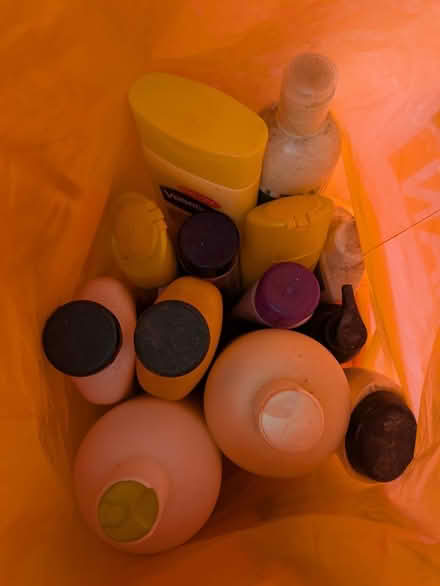 Photo of free Sleeping bag, rice cooker, tree (E14 Isle of Dogs) #4