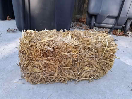 Photo of free 2 Hay Bales (Highlands, NJ) #1