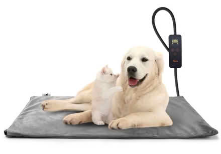 Photo of Heated pet mat (Harrogate HG2) #1