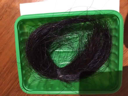 Photo of free Horse hair for crafting (Penarth CF64) #1