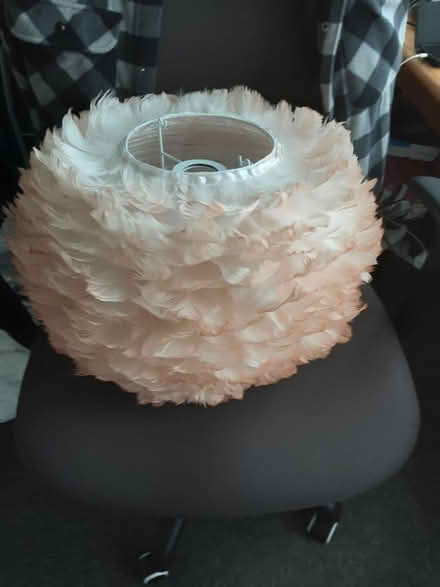 Photo of free Lamp shade (L25) #2