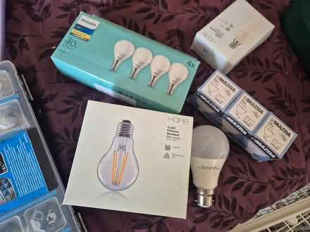Photo of free Assorted bulbs (Paddock Wood, village) #1