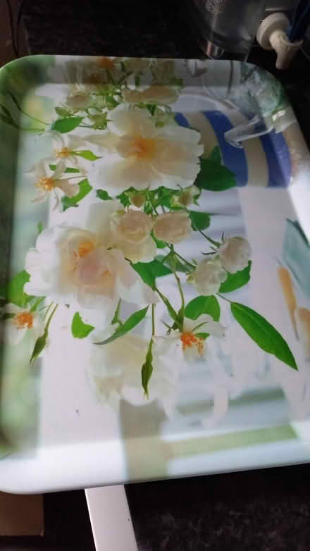 Photo of free Dining tray (E8) #1