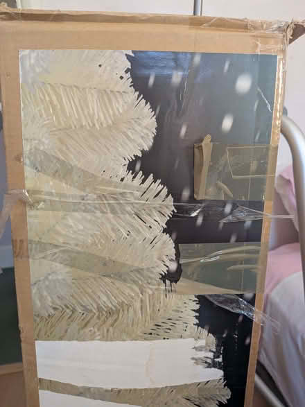 Photo of free Xmas Tree (Royal Standard SE7) #1