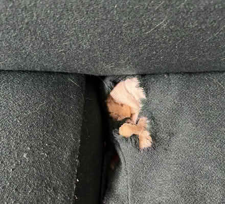 Photo of free Dark green sofa (SW17) #3