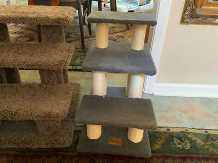 Photo of free Pet Stairs (Mountian View) #4