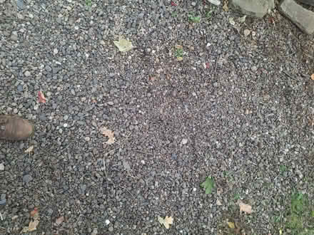Photo of free Large amount of gravel (Hollywood B47) #3