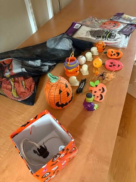 Photo of free Halloween decorations & costumes (Los Altos Grant and Fremont) #1
