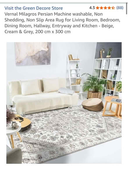 Photo of free 200x300 Rug pickup needed today! (South Kensington SW7) #2