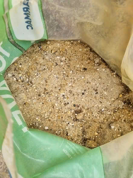 Photo of free Sharp sand (CM2 springfield, chelmsford) #2