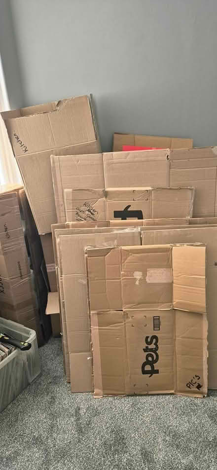 Photo of free Moving Boxes (Low Moor BD12) #2