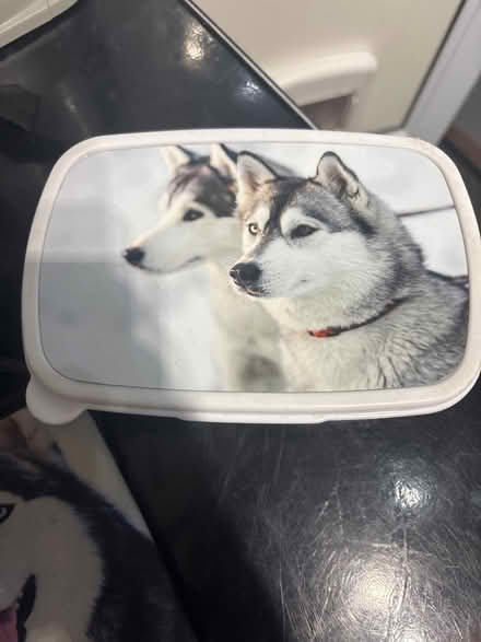 Photo of free Lunch box bottle holder (DA11) #3