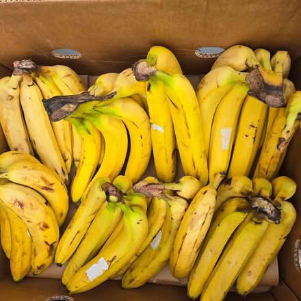 Photo of free Ripe Bananas (94041) #1
