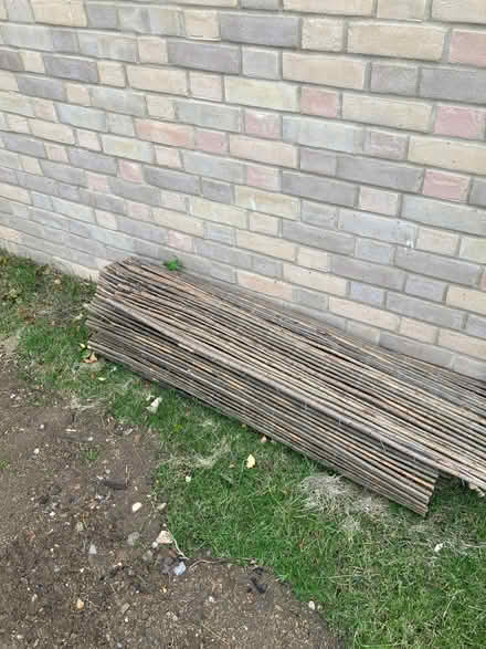 Photo of free Willow screening (Cutteslowe OX2) #1