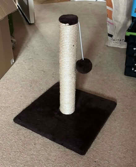 Photo of free Kitten scratching post and toy (Maidenhead SL6) #1