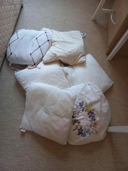 Photo of free Cushion pads (Lower Tadmarton OX15) #1