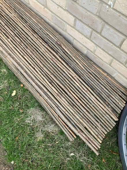 Photo of free Willow screening (Cutteslowe OX2) #2