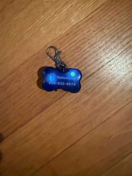 Photo of free Dog collar blinking light (Fisher Heights) #3