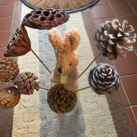 Photo of free 2acrylic luminous hedgehogs pine cones seed pods on canes (Clive Vale TN35) #4