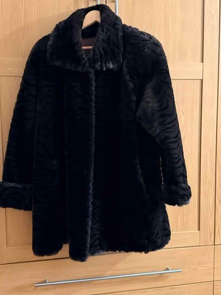 Photo of free Dark brown Faux fur coat (Whitton TW3) #1