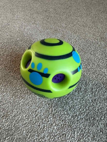 Photo of free Pet ball (Starbeck HG1) #1