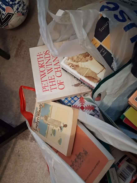 Photo of free Books. Large quantity (Dyke Road area BN1) #2