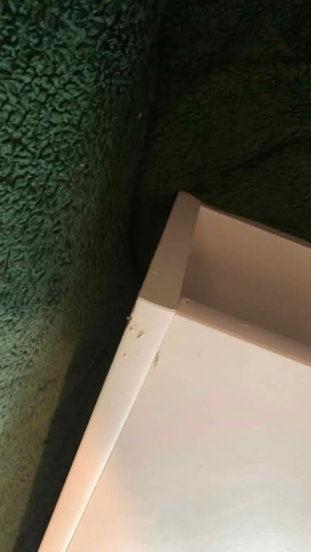 Photo of free Ikea under bed drawers (Frilford OX13) #3
