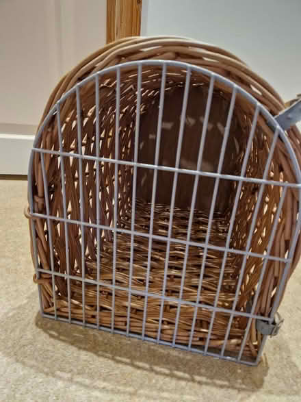 Photo of free Animal Carrier (East Grinstead town center) #1