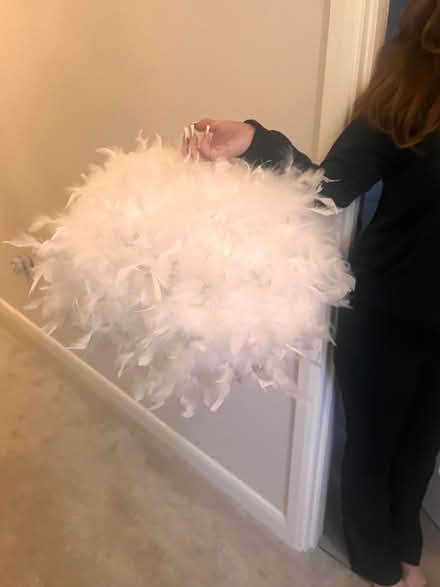 Photo of free Feather lampshade (Kempston) #1