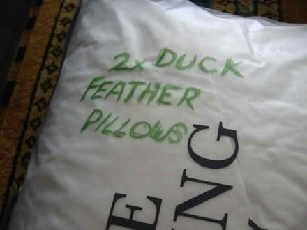 Photo of free Two New Duck Feather Pillows (Coppull PR7) #1
