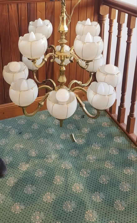 Photo of free Chandalier (Donnybrook) #1