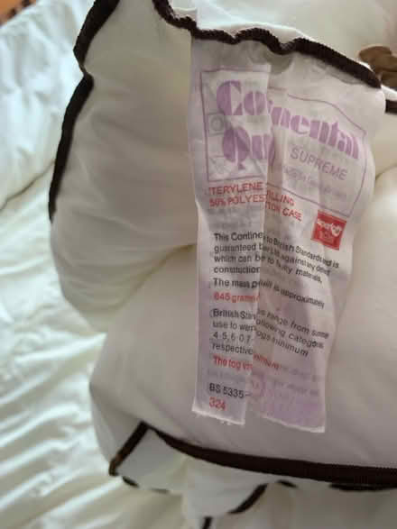 Photo of free Single continental quilts x2 (Scotch Orchard WS13) #2