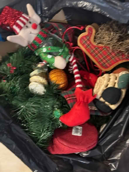 Photo of free Miscellaneous Christmas items (Santa Cruz near mystery spot) #1