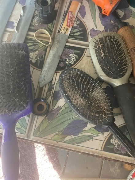 Photo of free So many dog brushes (Foothill Boulevard Cupertino) #1