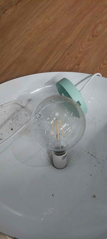 Photo of free 60cm metal Pendant shade and bulb (Horsham) #2
