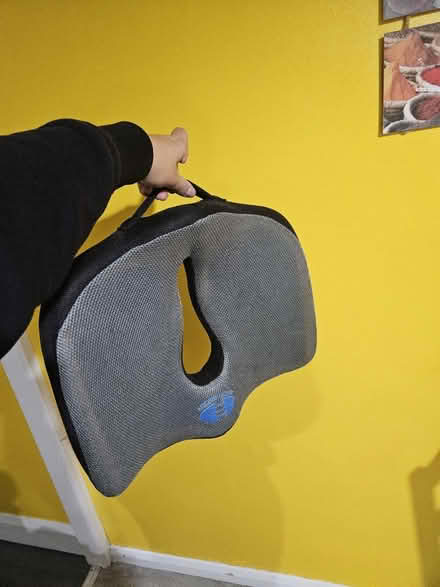 Photo of free Back Buddy Seat Cushion (Bletchley) #1