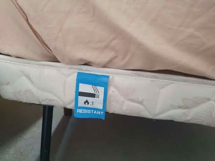 Photo of free Storable trundle bed (Glastonbury BA6) #3