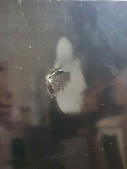 Photo of free Hisense 55" TV for Spares or repair (Wilsham Road, OX14) #2