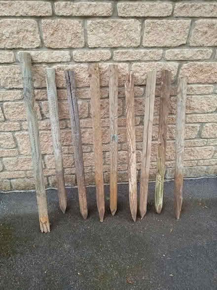 Photo of free Wooden stakes (Calne SN11) #1