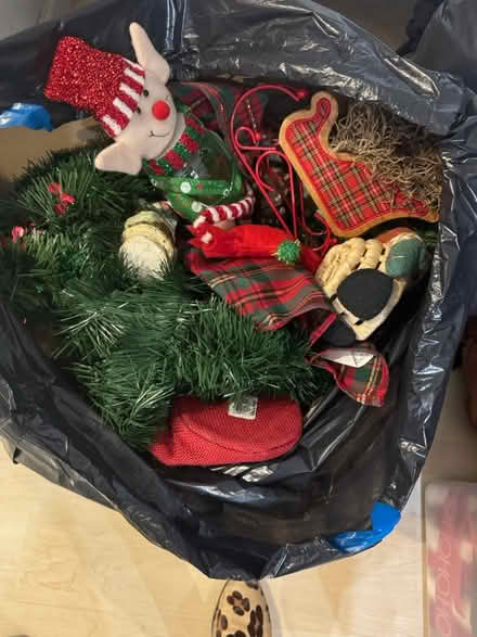 Photo of free Miscellaneous Christmas items (Santa Cruz near mystery spot) #2