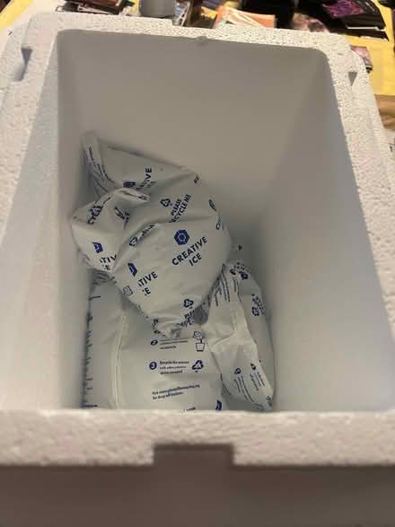 Photo of free Styrofoam coolers (Kirkwood MO) #2