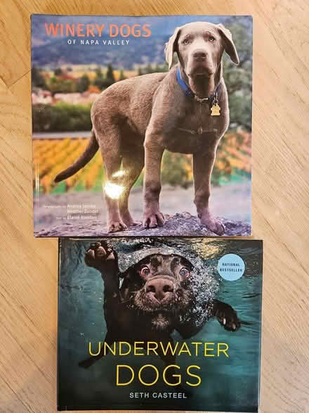 Photo of free dog coffee table books (Larchmont) #1