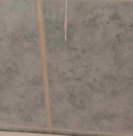 Photo of Old light green tiles (Dundrum) #2