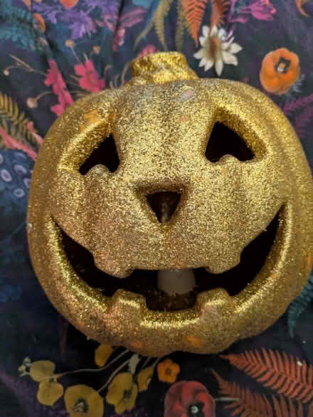 Photo of free Glittery pumpkin (Fry’s Hill OX4) #1